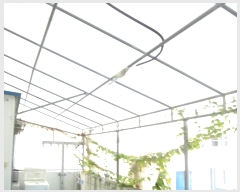  2024Ÿ��85718  �ٸ��ü����