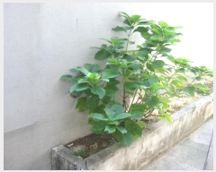  2024Ÿ��85718  �ٸ��ü����