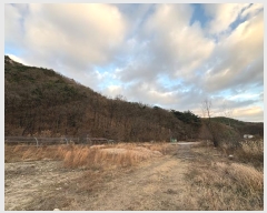  2024Ÿ��9257  �Ӿ߰��