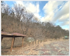  2024Ÿ��9257  �Ӿ߰��