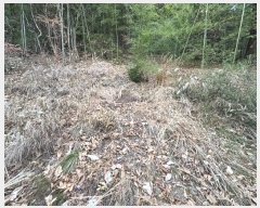  2024Ÿ��9257  �Ӿ߰��