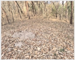  2024Ÿ��9257  �Ӿ߰��