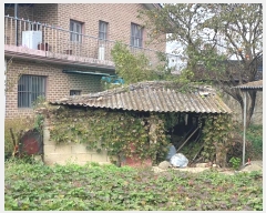  2024Ÿ��83514 ���� ������ �븶�� ���� 256-1      ���ð��