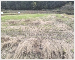  2024Ÿ��85848 ���� ��籺 â��� ��õ�� 5-1      ����(��)���