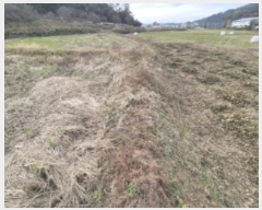  2024Ÿ��85848 ���� ��籺 â��� ��õ�� 5-1      ����(��)���