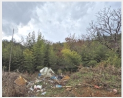  2024Ÿ��86445 ���� �强�� ��ȭ�� ������ 370      ����(��1)���