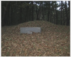  2024Ÿ��86445 ���� �强�� ��ȭ�� ������ 370      ����(��1)���