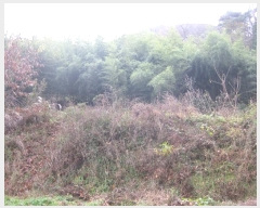  2024Ÿ��86445 ���� �强�� ��ȭ�� ������ 370      ����(��1)���