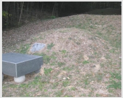  2024Ÿ��86445 ���� �强�� ��ȭ�� ������ 370      ����(��1)���