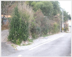  2024Ÿ��86445 ���� �强�� ��ȭ�� ������ 370      ����(��1)���