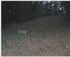  2024Ÿ��86445 ���� �强�� ��ȭ�� ������ 370      ����(��1)���