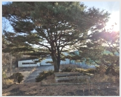  2024Ÿ��87219  ������