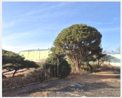  2024Ÿ��87219  ������