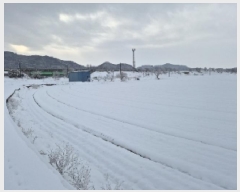  2024Ÿ��89536 ���� ���걸 ���굿 417       ����(��1)���