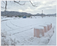  2024Ÿ��89536 ���� ���걸 ���굿 417       ����(��1)���