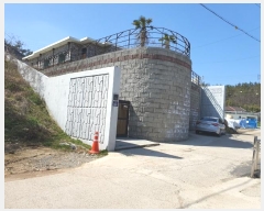  2024Ÿ925   ڱ 101       ð