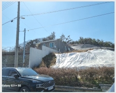  2024Ÿ925   ڱ 101       ð