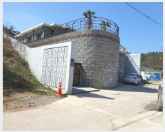  2024Ÿ925   ڱ 101       ð