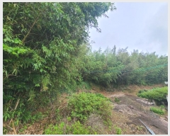  2024Ÿ��2884 ���� �žȱ� �ȱݸ� ��ɸ� 296      ����(����)���