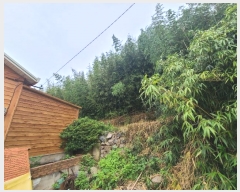  2024Ÿ��2884 ���� �žȱ� �ȱݸ� ��ɸ� 296      ����(����)���