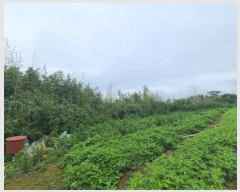  2024Ÿ��2884 ���� �žȱ� �ȱݸ� ��ɸ� 296      ����(����)���