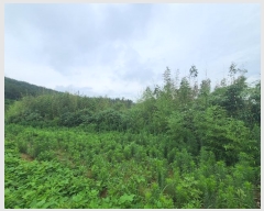  2024Ÿ��2884 ���� �žȱ� �ȱݸ� ��ɸ� 296      ����(����)���