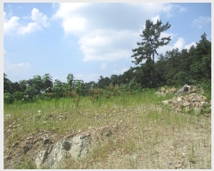  2024Ÿ��3344  �Ӿ߰��