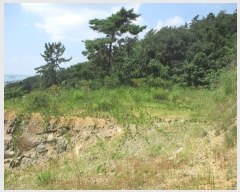  2024Ÿ��3344  �Ӿ߰��