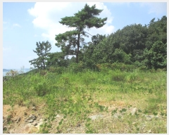  2024Ÿ��3344  �Ӿ߰��