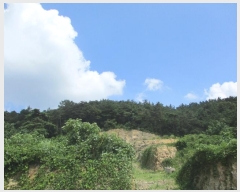  2024Ÿ��3344  �Ӿ߰��