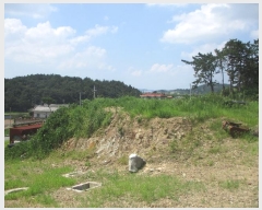  2024Ÿ��3344  �Ӿ߰��