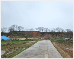  2024Ÿ51343  ȱ   200-61      (Ӿ)