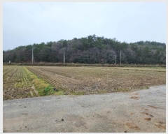  2024Ÿ51343  ȱ   200-61      (Ӿ)