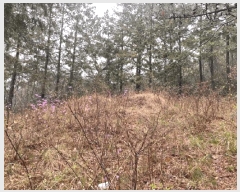  2024Ÿ��51503 ���� ���ϱ� ��ȣ�� ������ 353-2      ����(�Ӿ�)���