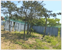  2024Ÿ��52766 ���� �žȱ� ���ڸ� ���� 265-87      ����(��)���