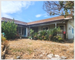  2024Ÿ��53042 ���� �žȱ� ������ ������ 387-1      ���ð��