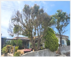  2024Ÿ��53042 ���� �žȱ� ������ ��긮 183-20      ����(��1)���