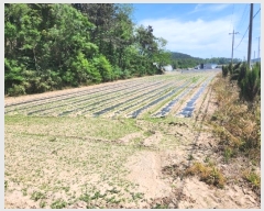  2024Ÿ��53042 ���� �žȱ� ������ ��긮 206-1      ����(��1)���