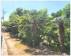  2024Ÿ��53042 ���� �žȱ� ������ ��긮 206-1      ����(��1)���