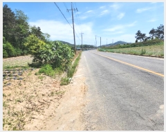  2024Ÿ��53042 ���� �žȱ� ������ ��긮 206-1      ����(��1)���