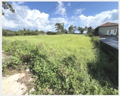  2024Ÿ55604  žȱ  ʸ 1156      (1)