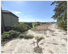  2024Ÿ55604  žȱ  ʸ 1156      (1)