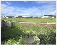  2024Ÿ��56126 ���� ���� ���߸� ������ 260-3      ����(��)���