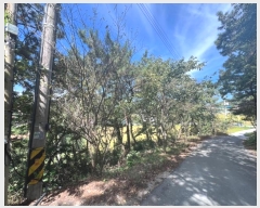  2024Ÿ56201  žȱ  ฮ 413      ð