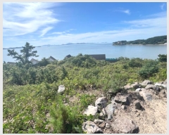  2024Ÿ56201  žȱ  ฮ 413      ð