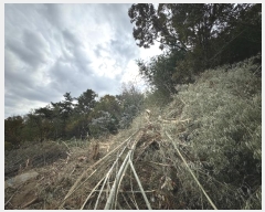  2024Ÿ57396  ȱ Ϸ 帮 108      (󰡽ü)