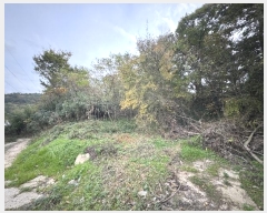  2024Ÿ57396  ȱ Ϸ 帮 108      (󰡽ü)