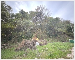  2024Ÿ57396  ȱ Ϸ 帮 108      (󰡽ü)