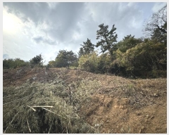  2024Ÿ57396  ȱ Ϸ 帮 108      (󰡽ü)