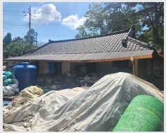  2024Ÿ52544  ϱ ȣ Ӹ 133-1      ð